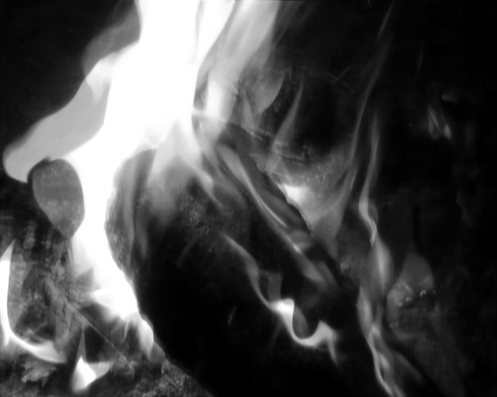 Ils-nous-tueront-tous-3