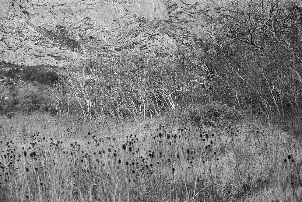 ALBROYER Frac Marseille