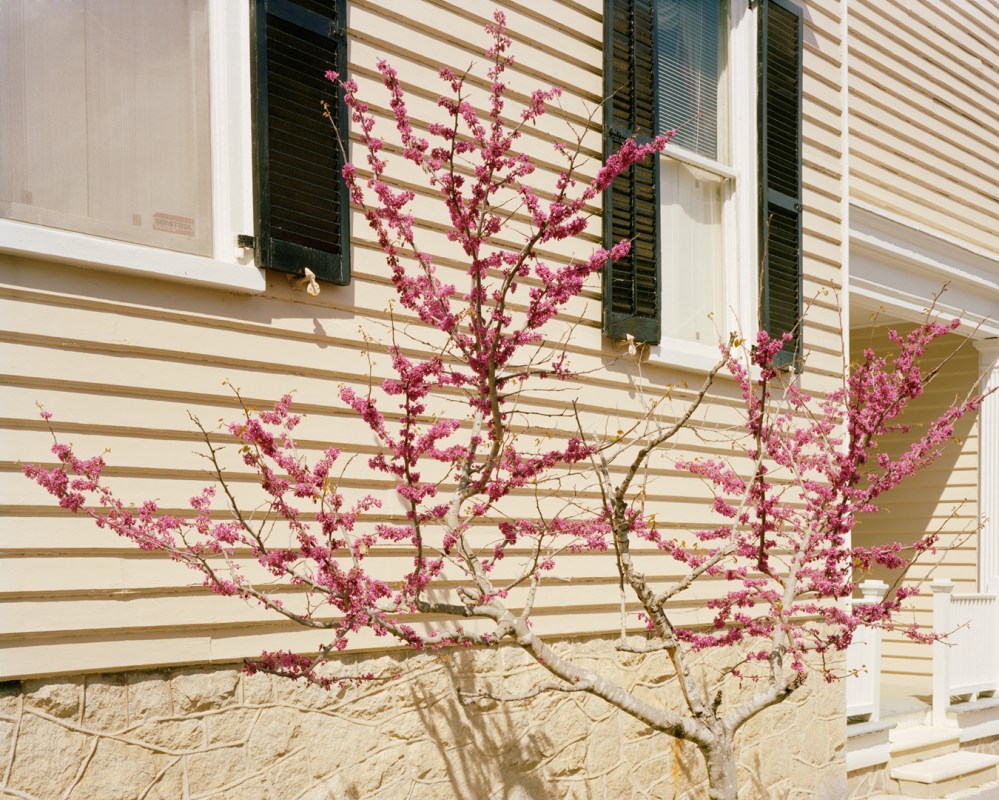 26_amoyel-pascal_not_all