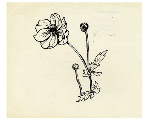 4222e56665e0e86621f6286b6866a8ef