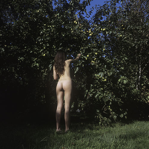 belegou-sl120-1212-03