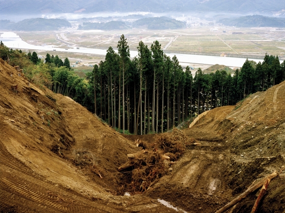 155532-sc308892_hatakeyama_4x3