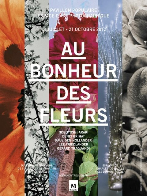 web_chemin_15970_1342606060-1