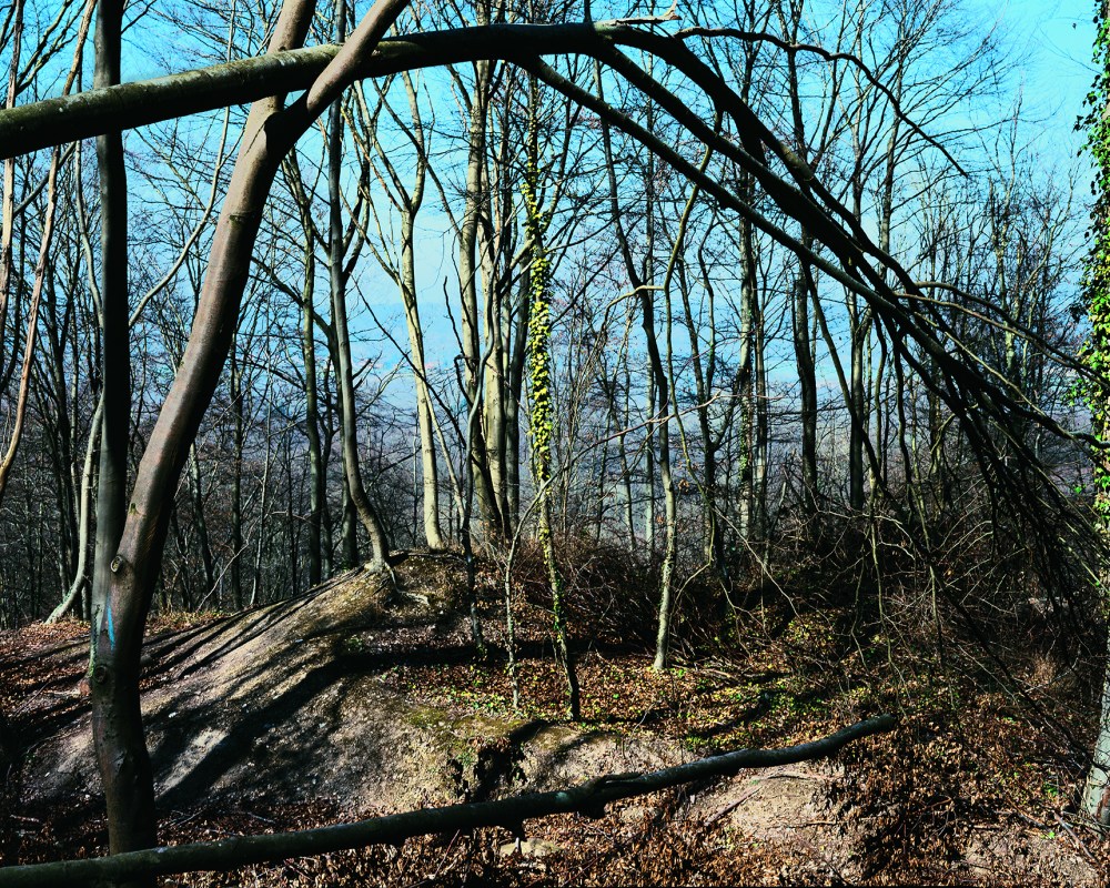 chemin-des-dames02_master