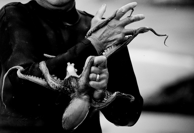 tumblr_lv1dvzoye31qzfsnio3_1280