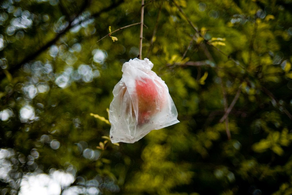 un-passe-sous-silence_stimultania_copyright-emilie-arfeuil_02