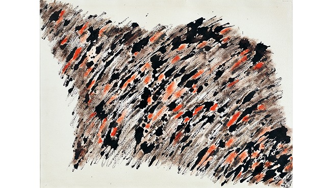 wouki-tt-width-653-height-368-lazyload-0-fill-0-crop-0-bgcolor-ffffff