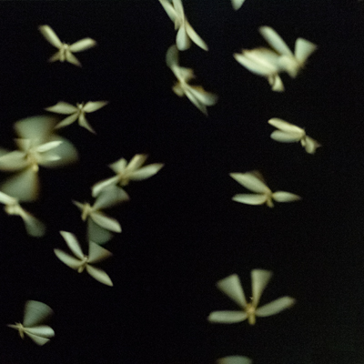 dscf4589-sc-06-sans-calque-40x40-cm