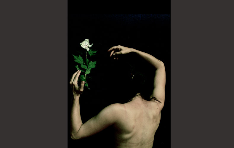 foto4_vialucis_liddell