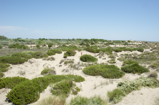 Les chemins égarés