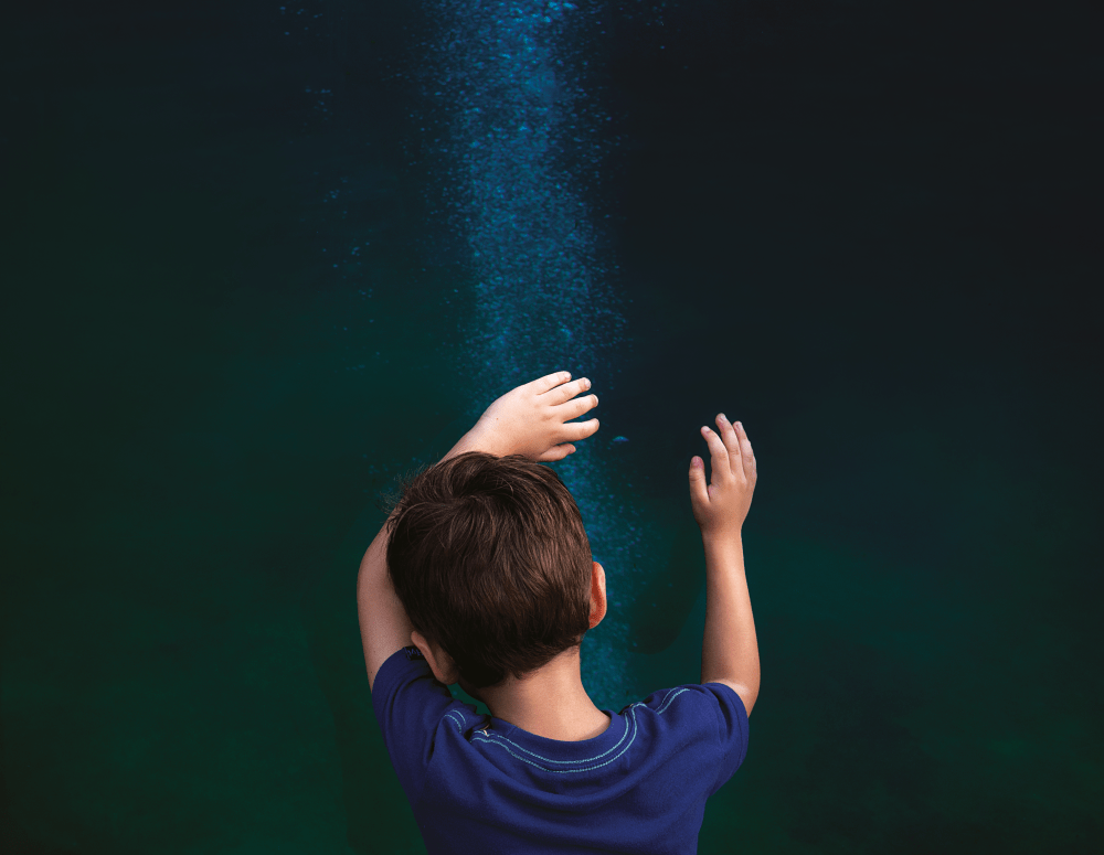 Capture dÔÇÖe╠ücran 2017-03-12 a╠Ç 18.20.43