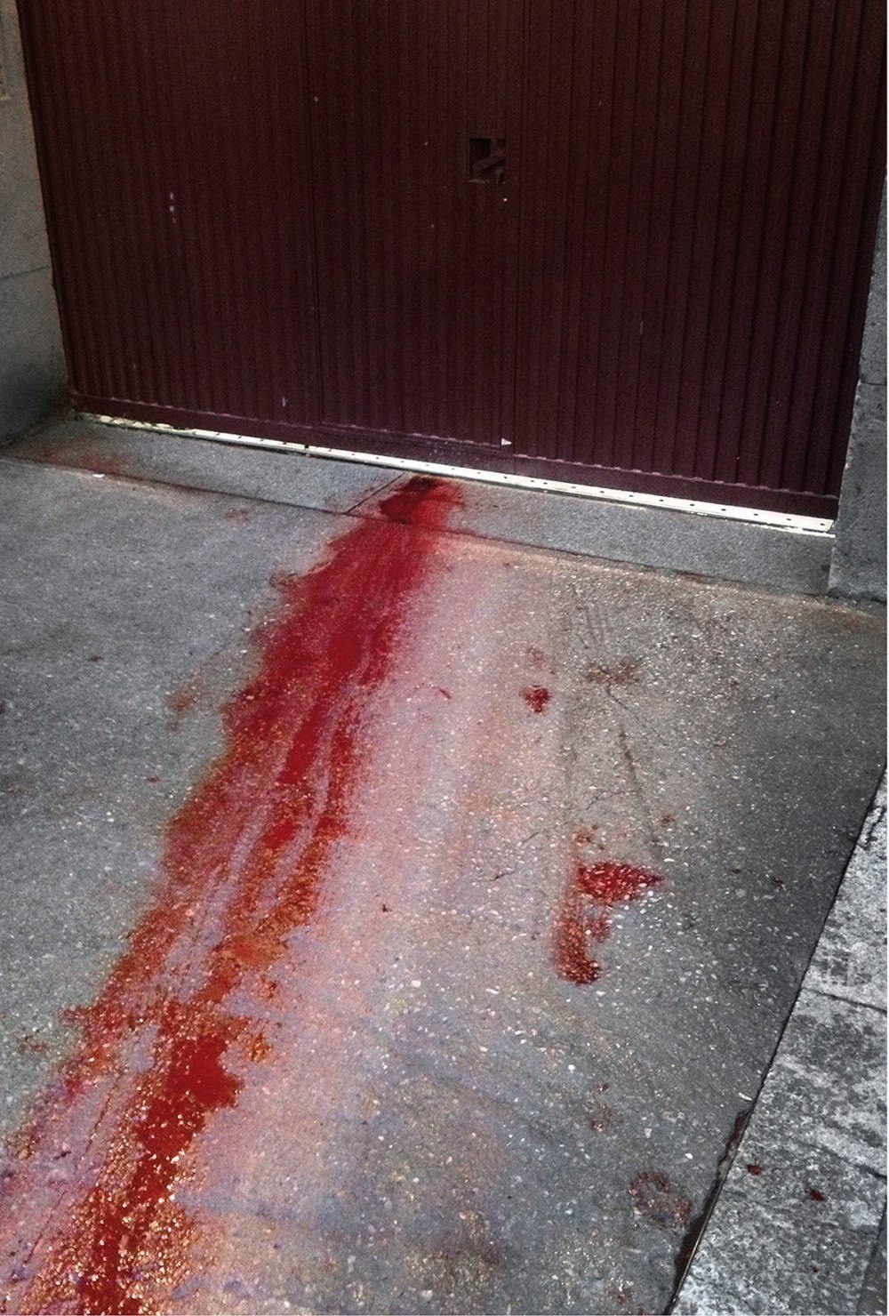 Madrid Plaza de toro 2012