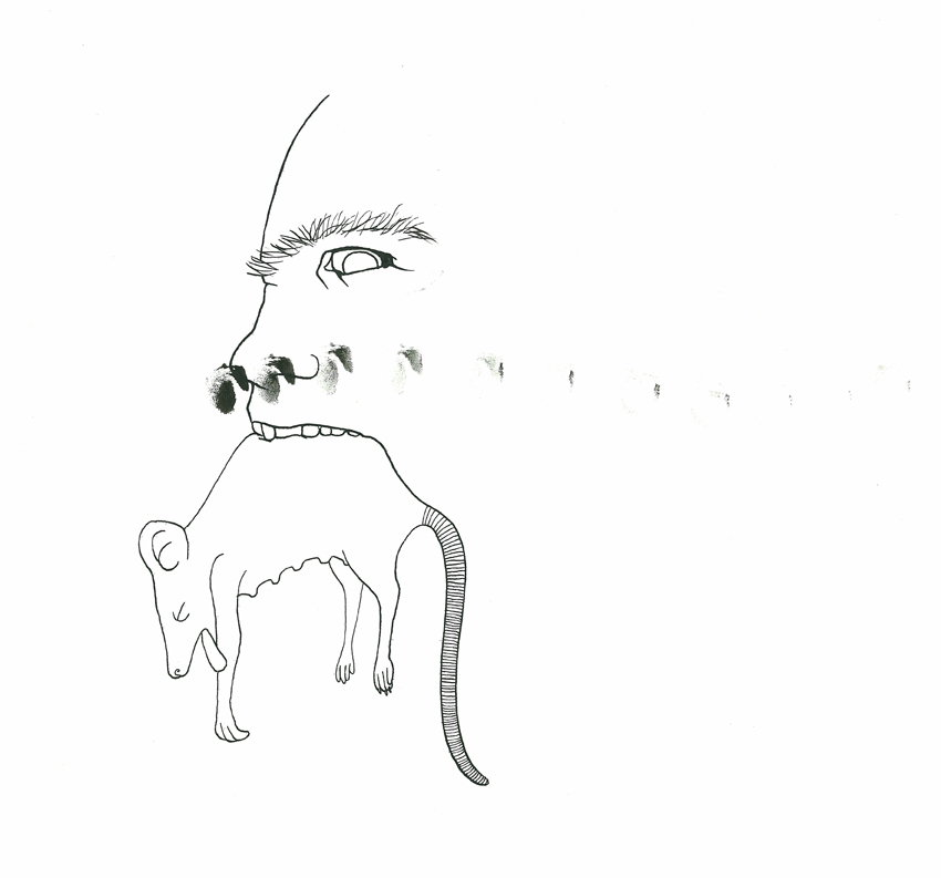 PDF COUL002_Page_049