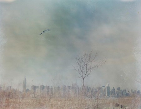 img31479815317_Screen Shot 2016-11-21 at 10.30.37