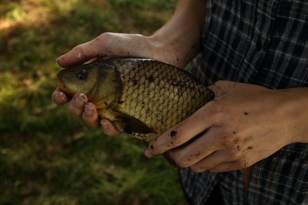 empty_pond_03_10_2014_112