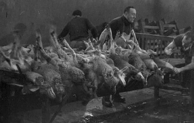 LeSangDesBetes_Spring2010