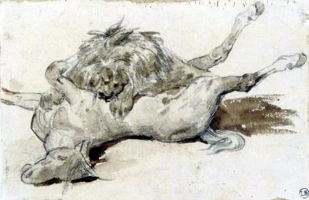 lion_devorant_un_cheval