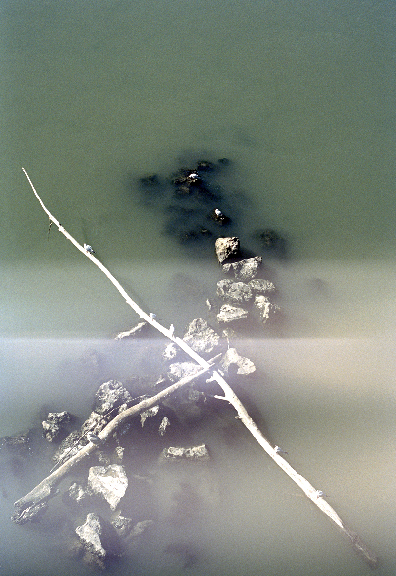 20140120_Roma1_Italie2012 copie