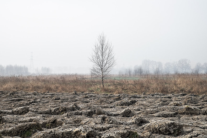 531bc6_7f16194e441a46bf8ab9ae99f9c4245d~mv2.jpg_srz_865_579_85_22_0.50_1.20_0.00_jpg_srz