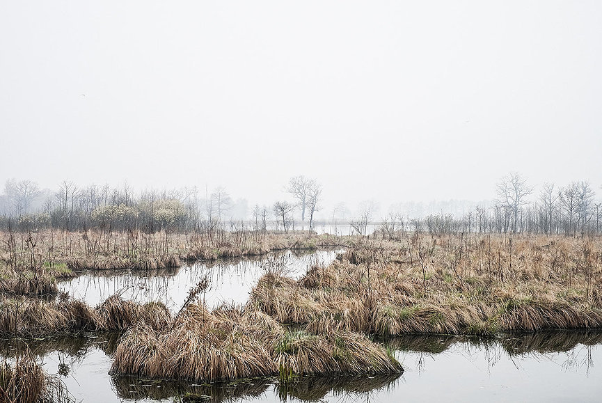 531bc6_7f26e1252b8d49b3aa47f0aa4a604c4c~mv2.jpg_srz_865_579_85_22_0.50_1.20_0.00_jpg_srz