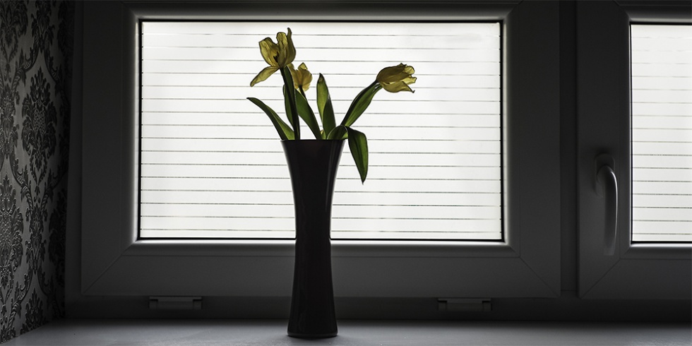 a0c2a640e1085a57e07c368bfe5151f0_XL