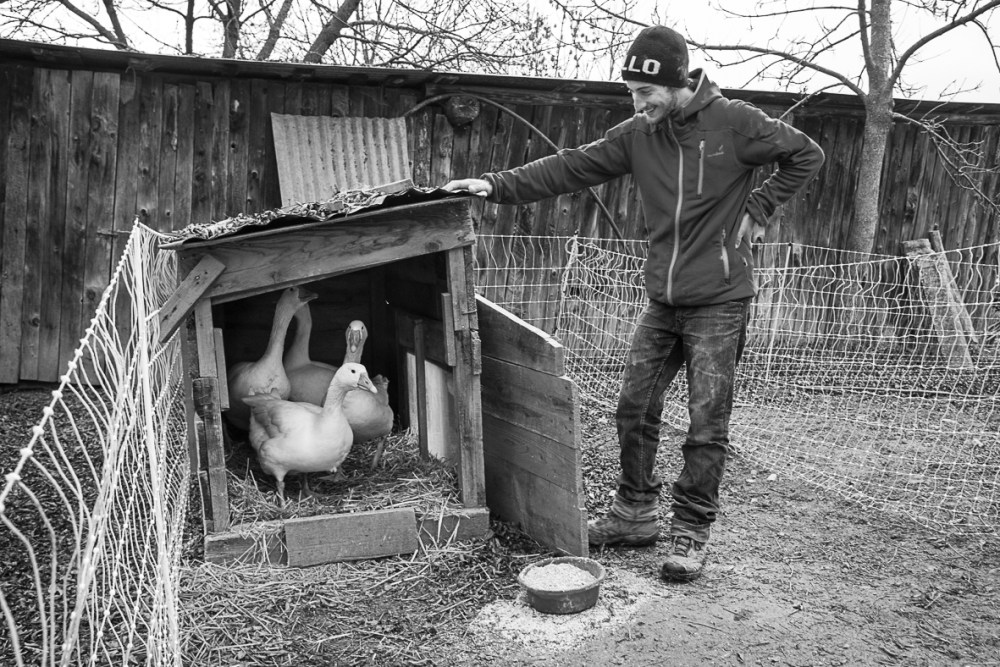 Isère. Trièves. Mens. Les Granges. Romain Longo, éleveur de volailles.