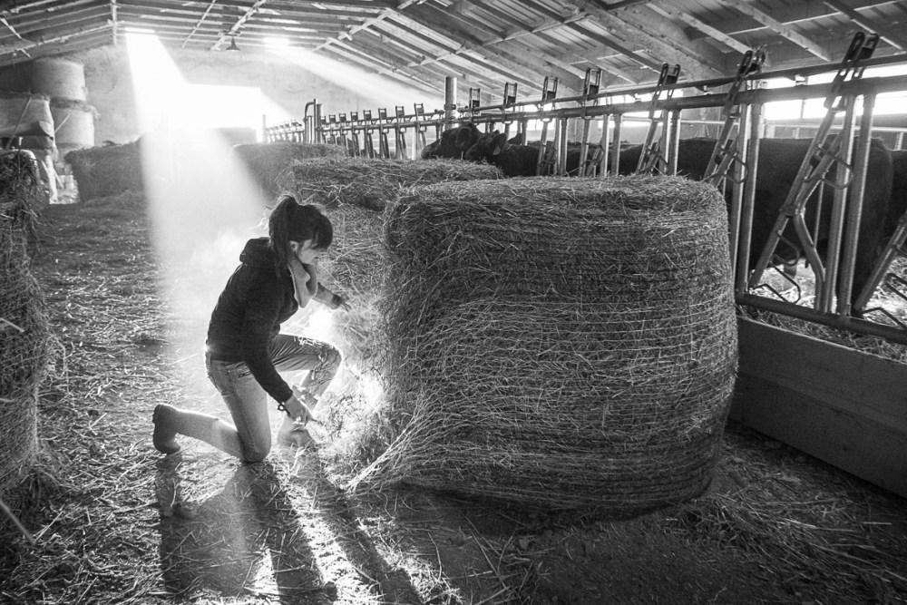 BRETEAU_2016_01_26_0016