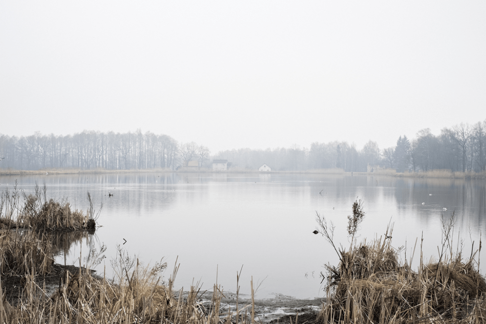 Bretin_Frederique_-03-HD