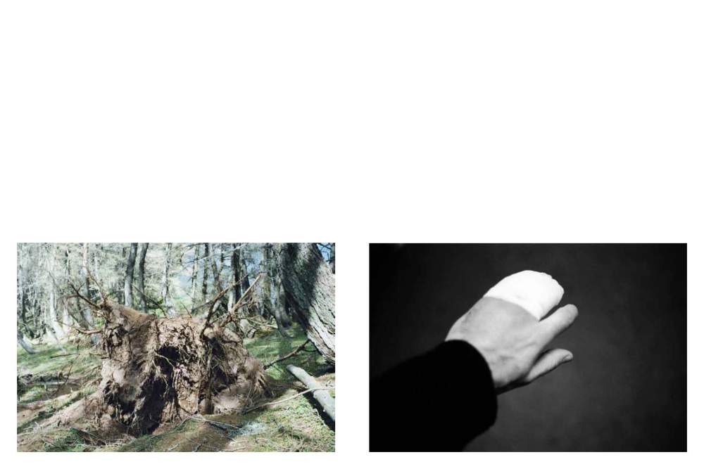 Julien Marchand maj_Page_04