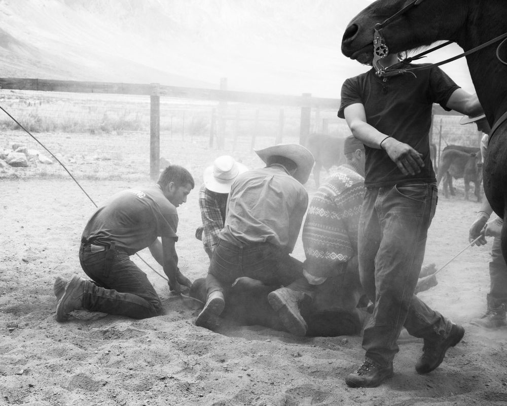 Samantha Contis - Hold Down_IMG_0459NEW