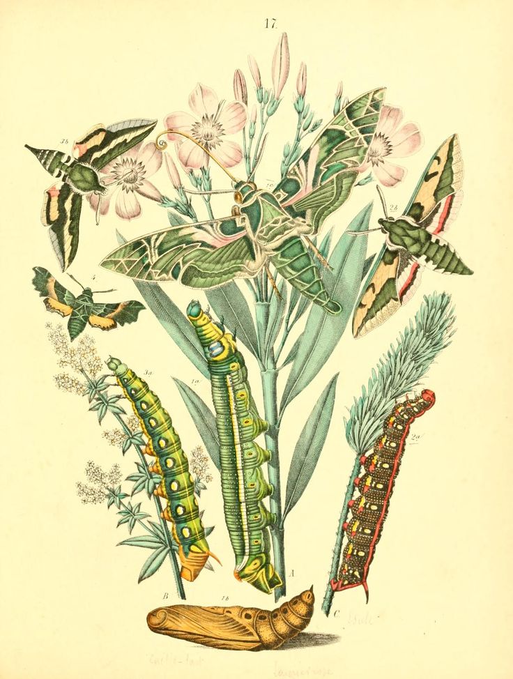 67e63a7a8599bc09f6289e4608bbc7b0