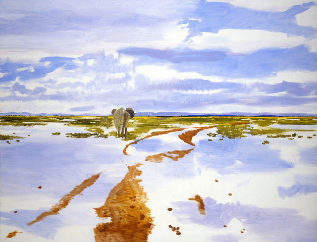 elephantapreslapluie