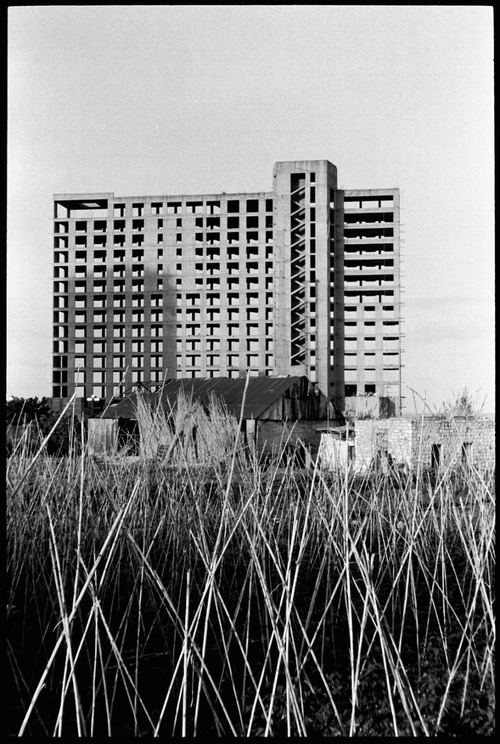 PELISSIER_AnneFrancoise_003