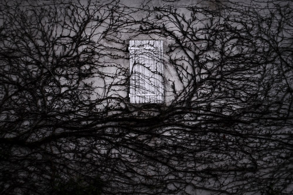 Meyer_Azimut-Mey-281