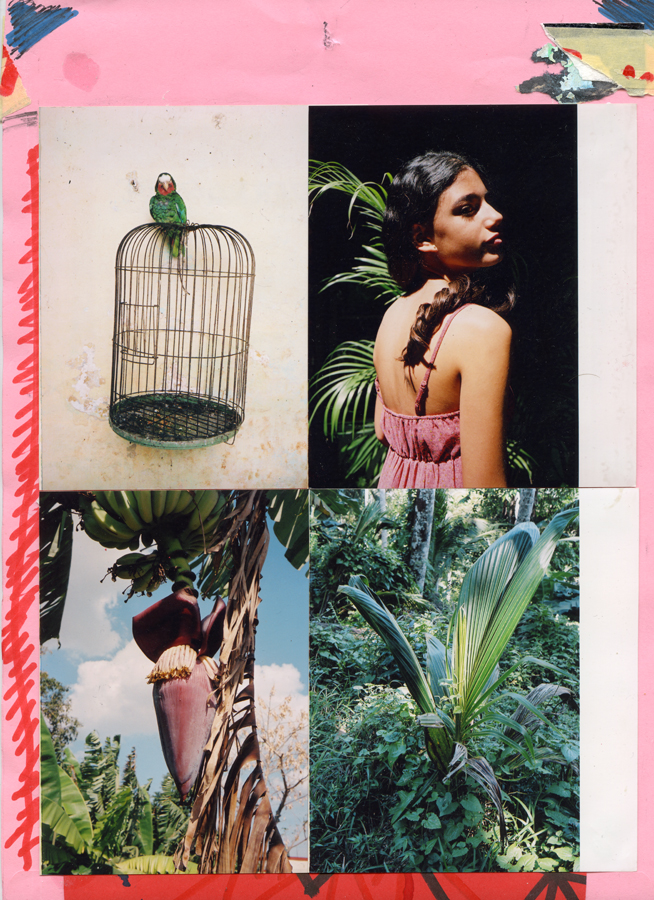 vd_collages-ete2016-111