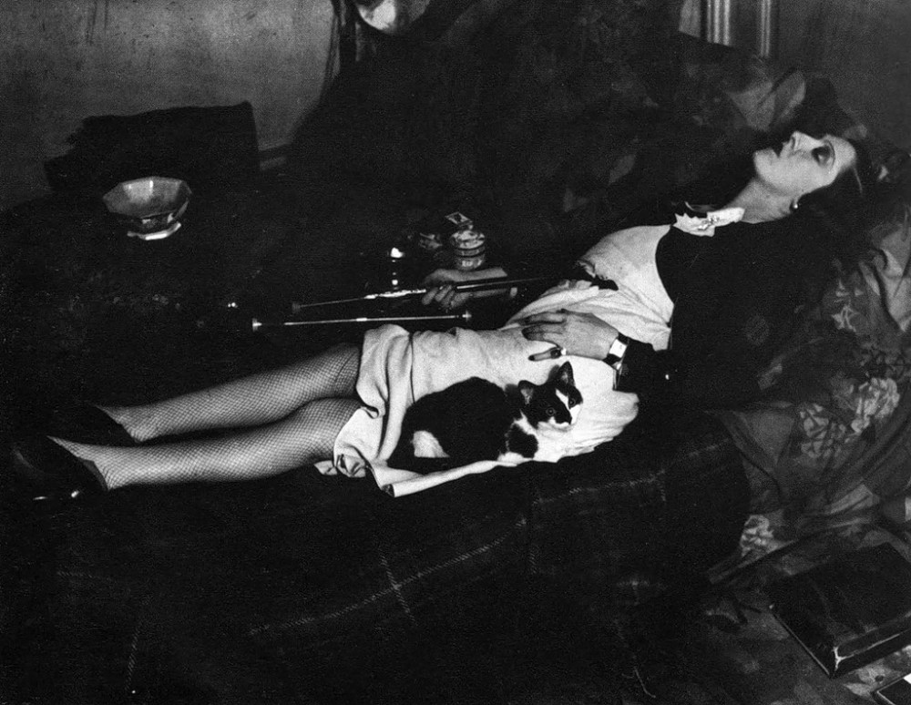 bbcff9ed23c0bcccc24c85e948ca05a2