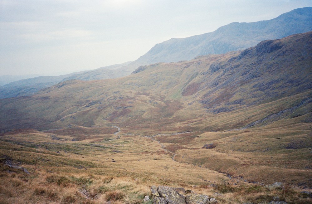 DAY22-survivalists-leahabourdin-BD