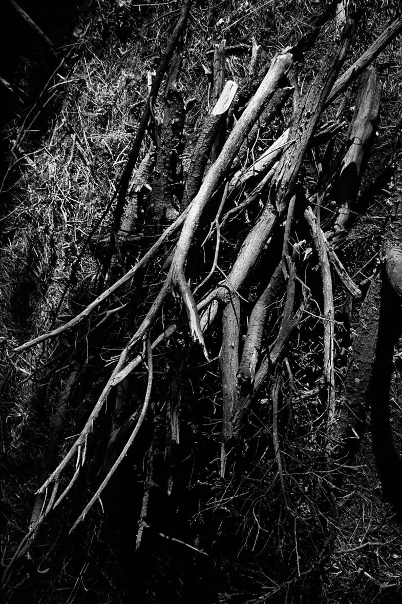 DAY33-survivalists-leahabourdin-BD