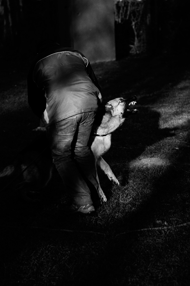 DAY42-survivalists-leahabourdin-BD