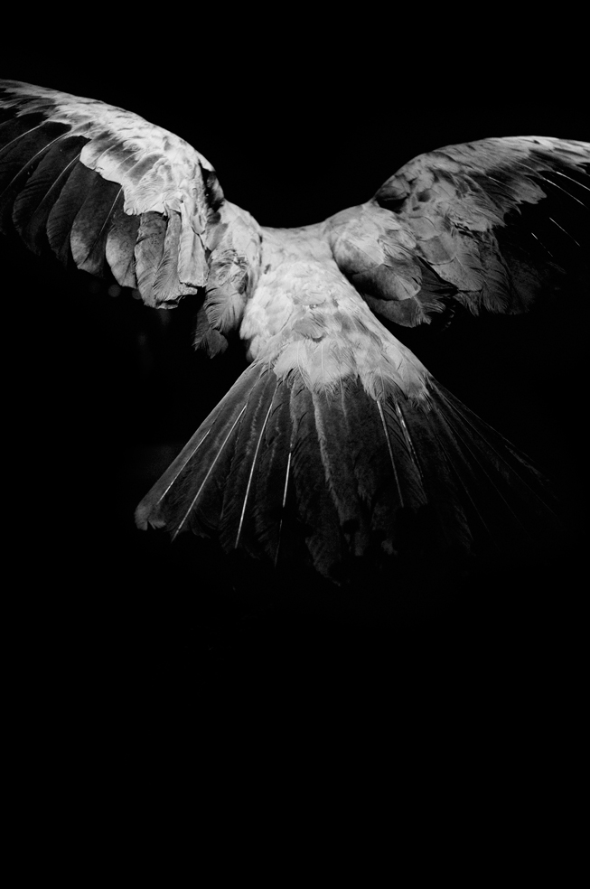 DAY46-survivalists-leahabourdin-BD