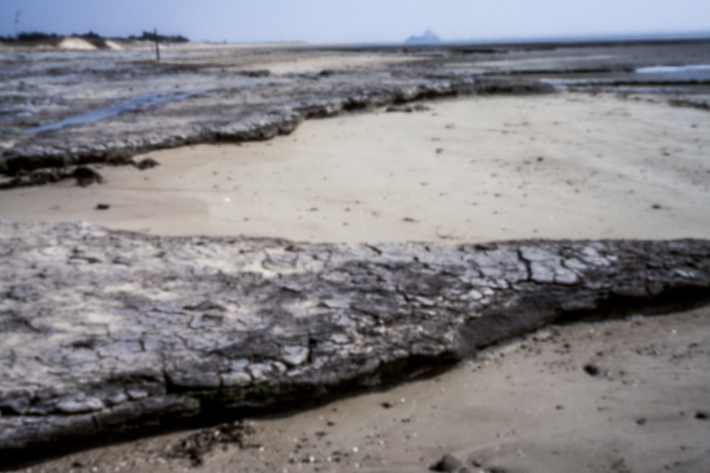 la-Plage-du-Pinochet