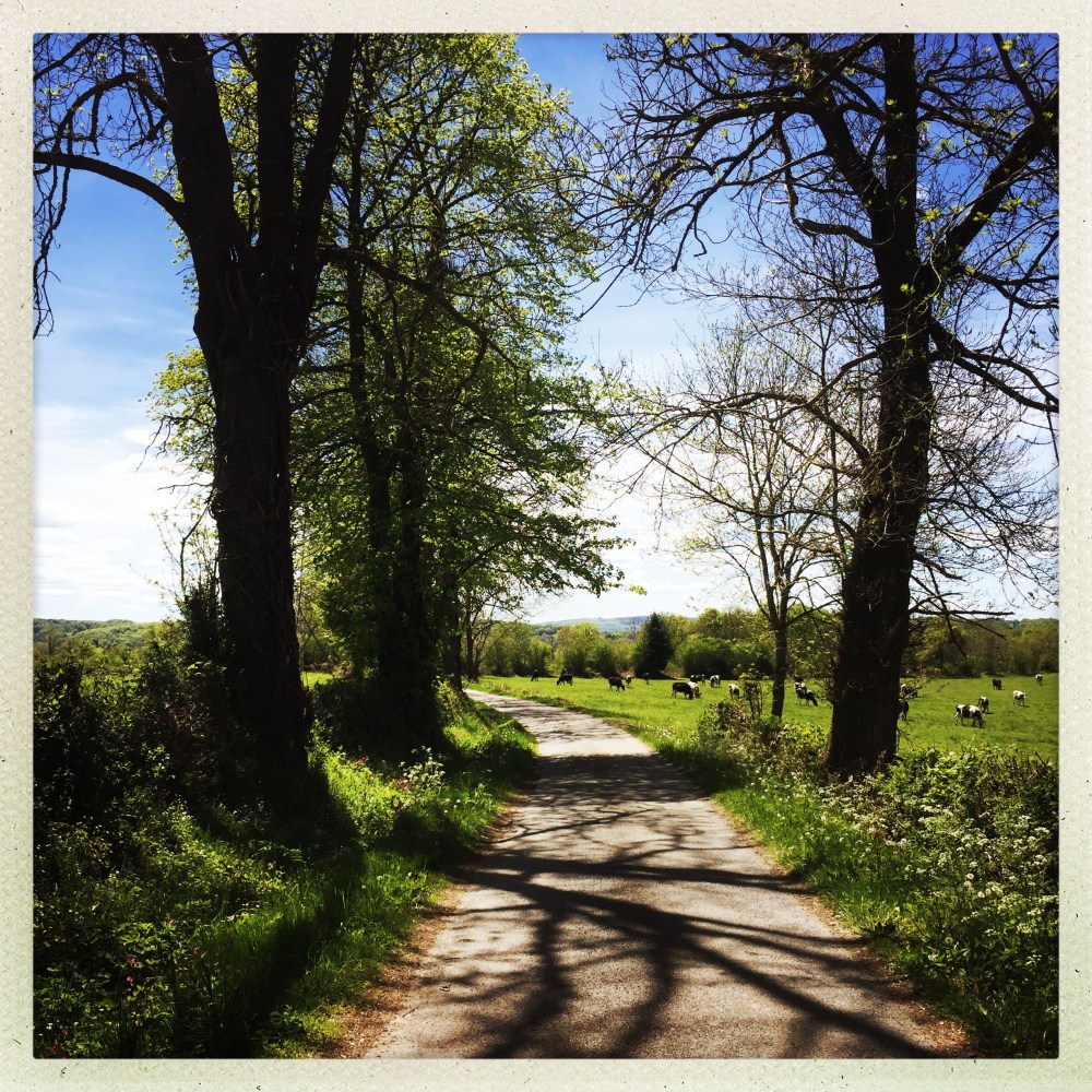 AZIMUT781Tourneboeuf