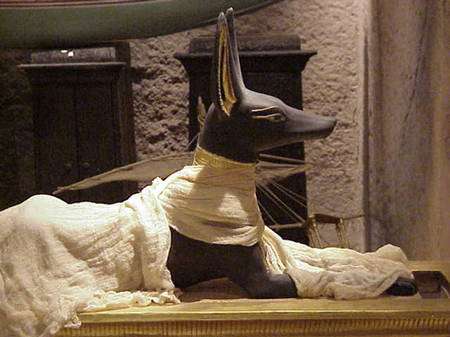 e5f5272d5f_50100085_4827-chien-08