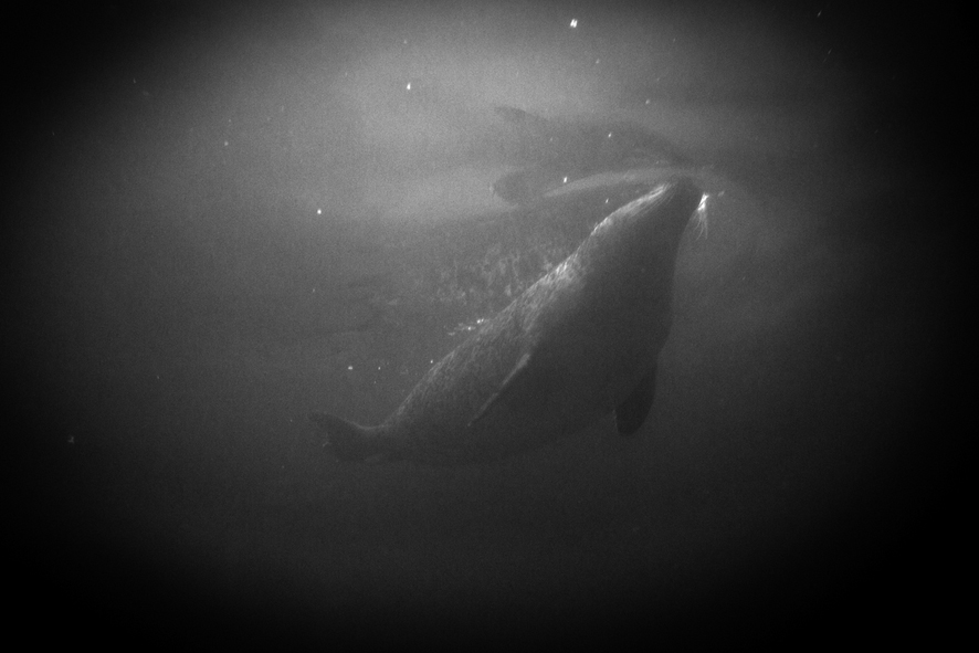 de la série Un soleil voilé