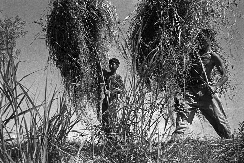 The people of Siberia