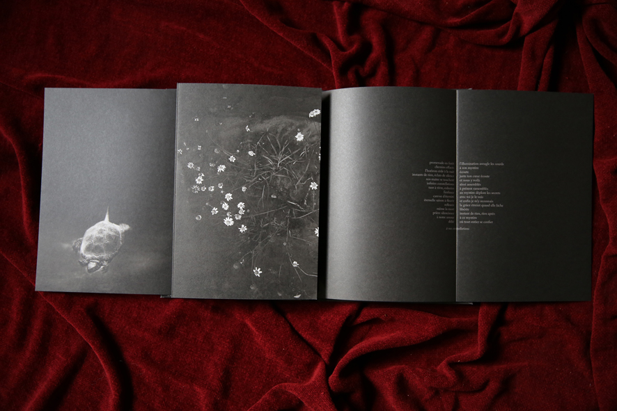 livre l'heure bleue 003