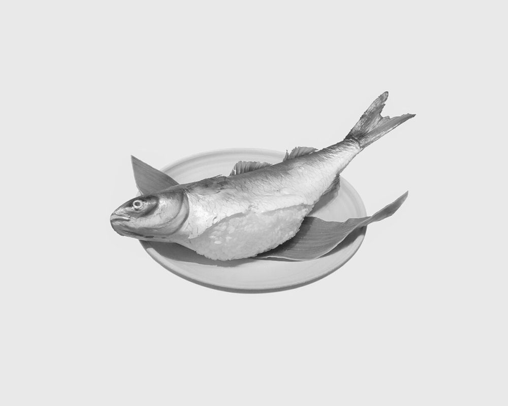 Rowing a Tetrapod_10_preview