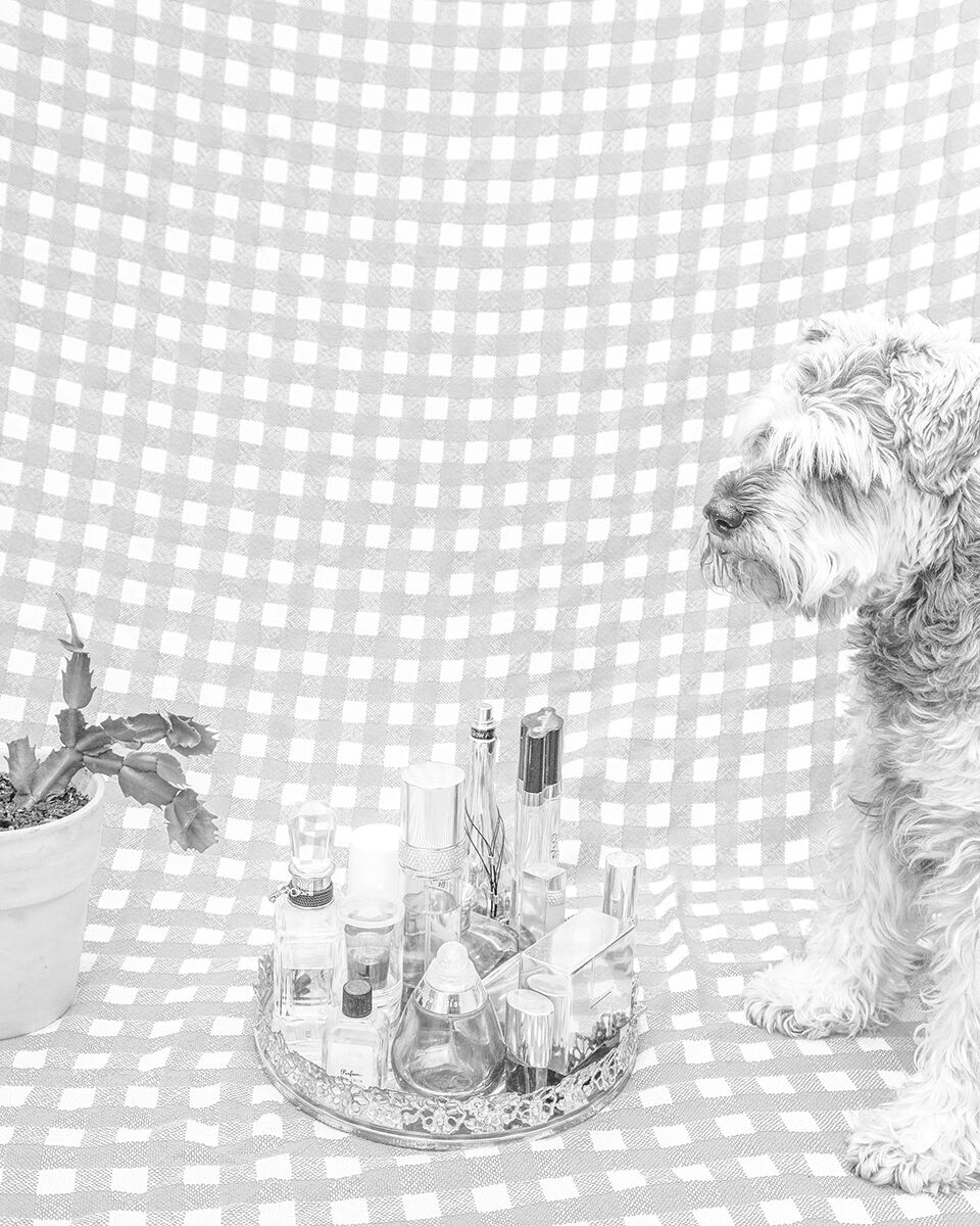 Rowing a Tetrapod_3_preview