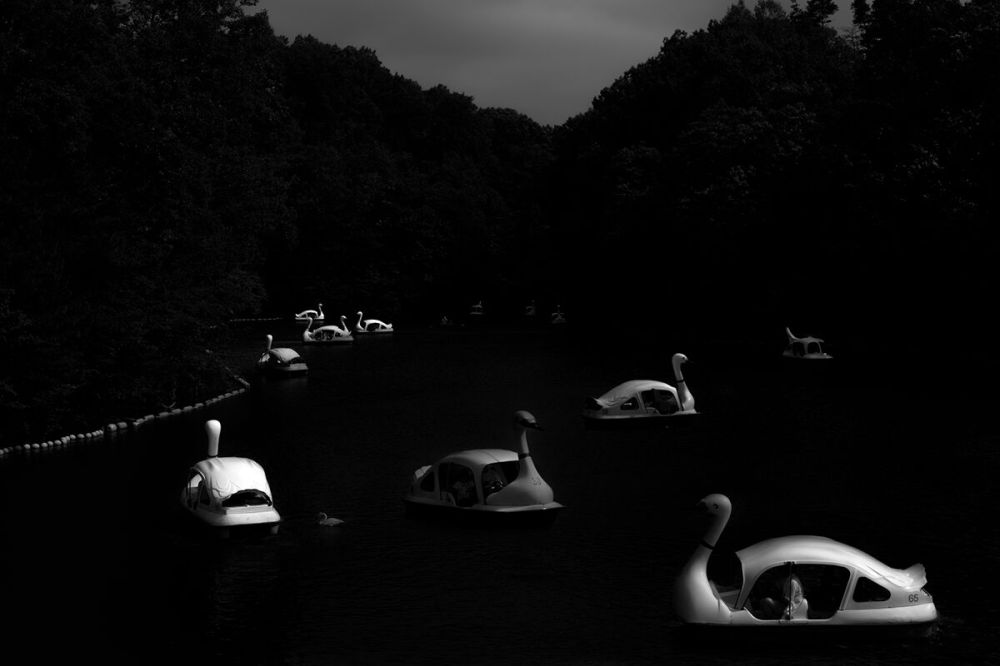 Rowing a Tetrapod_8_preview