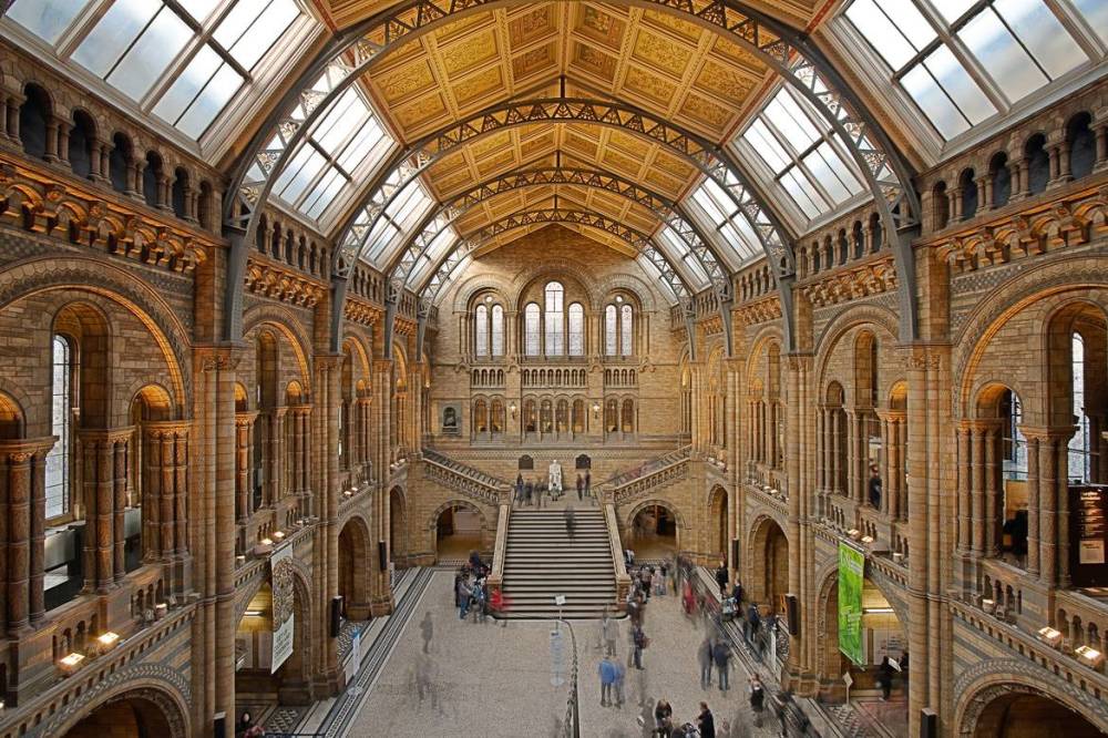South-kensington-londres-musée-d-histoire-naturelle-culture